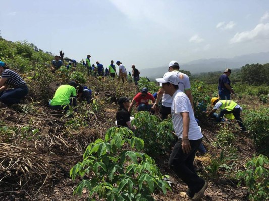 Foto: La Prensa