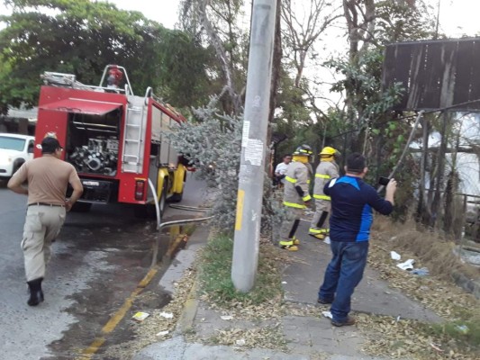 Foto: La Prensa