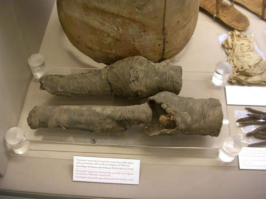 Arqueólogos atribuyen unas piernas momificadas a la reina egipcia Nefertari