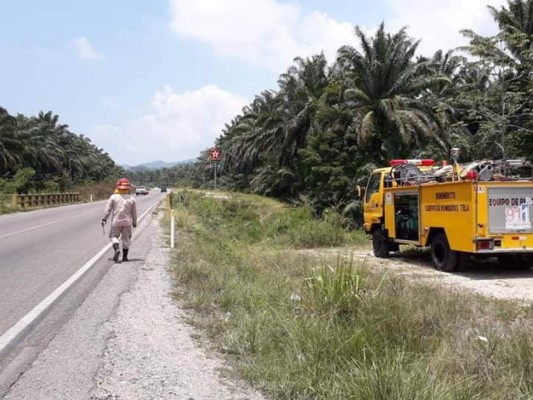 Investigan supuesto uso de explosivos para sabotear puente en Tela   