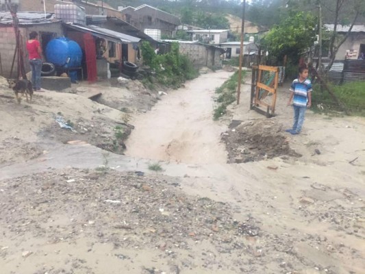 Viviendas inundadas y árboles caídos deja fuerte tormenta en Santa Rosa de Copán