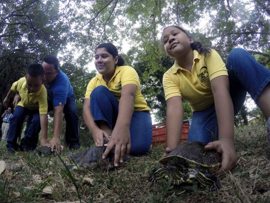 Funapa devuelve a su hábitat a 17 animales