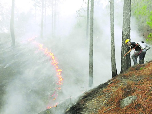 Incendios destruyen zona boscosa del sur de Honduras