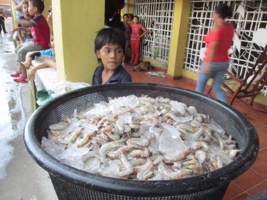 Comitiva de México visitará las fincas de camarón en Honduras
