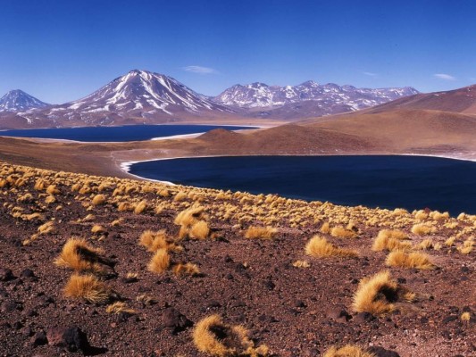 Atacama, destino turístico imprescindible para 2015