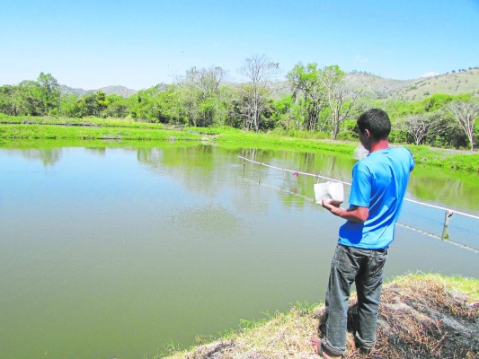 Combatirán efectos de la sequía con lagunas artificiales