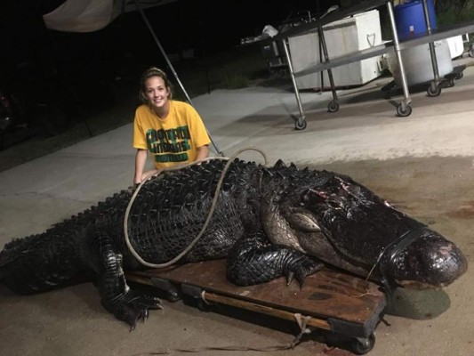 Camión choca con un caimán de 3.6 metros que cruzaba una autopista de Florida