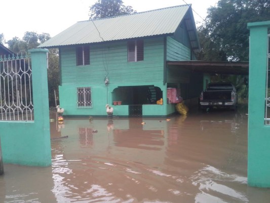 Más de 60 familias evacuadas por inundaciones en el Valle de Sula