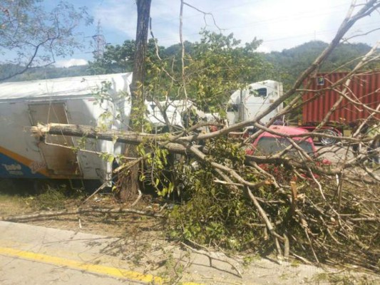 Camionero se salva de morir tras estrellarse con un árbol en Choloma