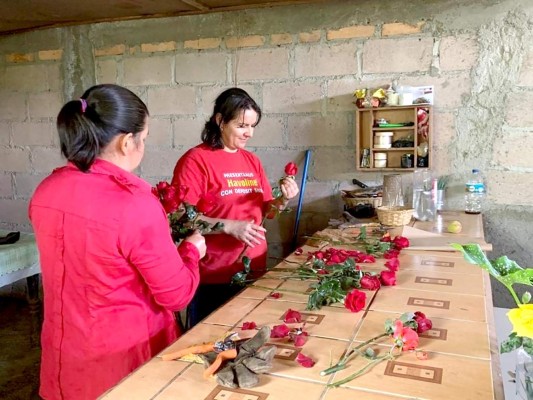 Dan herramientas a cultivadores de rosas en Ocotepeque