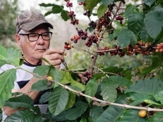 Foto: La Prensa