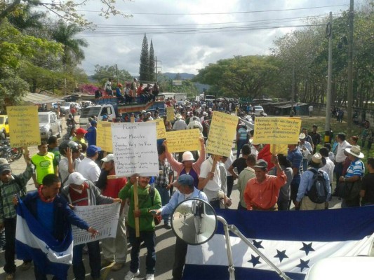 Productores de cebolla se toman carretera en Tegucigalpa
