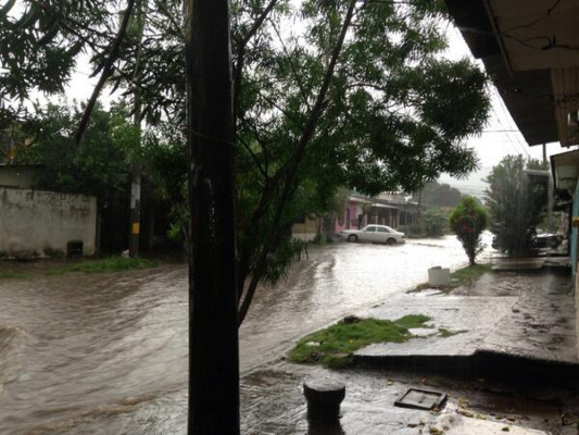 Colapso por aguacero en San Pedro Sula
