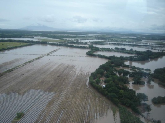 Anuncian medidas para ayudar a productores afectados por inundaciones