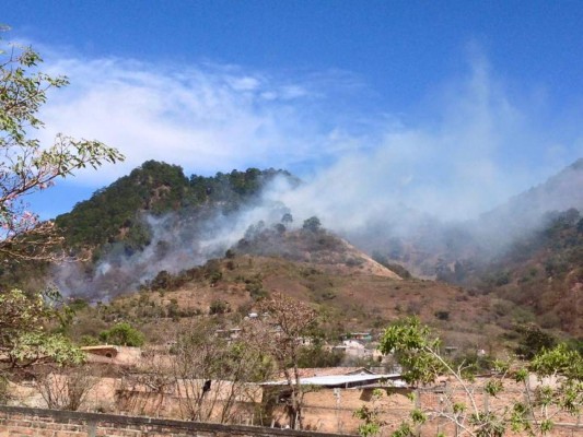 Fuera de control incendio forestal en el cerro Chichicuilote