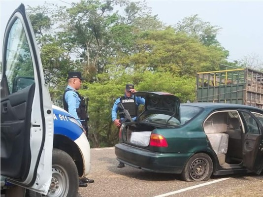 Decomisan más de 200 libras de supuesta marihuana en Olancho