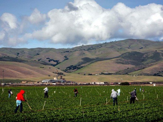 Insólito: Culpan a inmigrantes por sequía en California