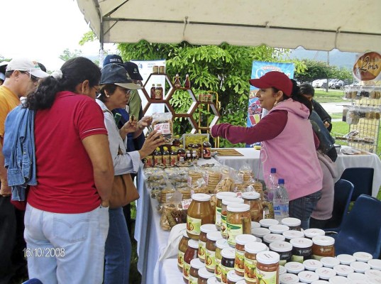 Congreso Nacional busca regular el comercio en línea