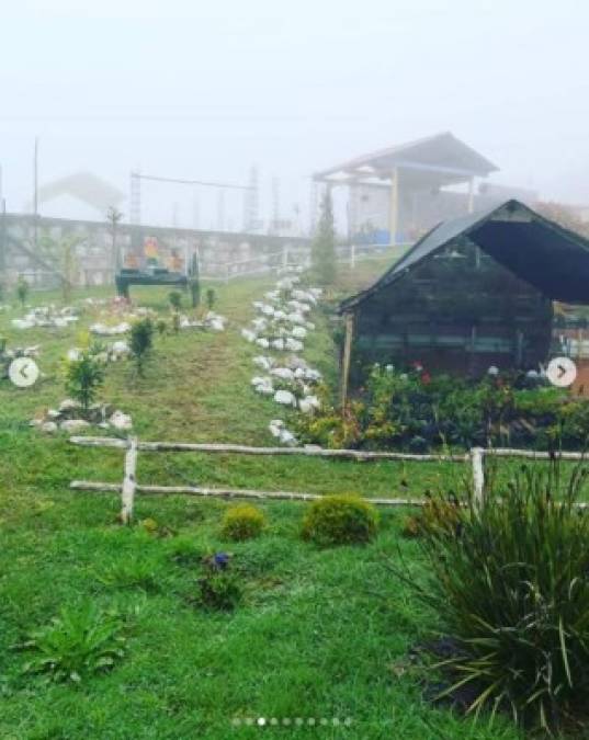 La constante neblina en ciertas zonas de los municipios de Intibucá provocó asombró a los visitantes.