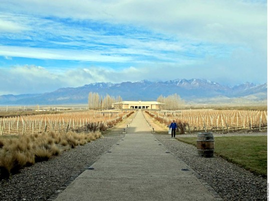 Mendoza, el paraíso del vino en Argentina