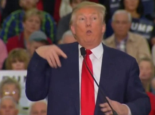 Donald Trump se burla de discapacidad de periodista