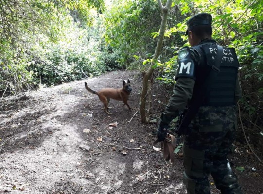 Foto: La Prensa