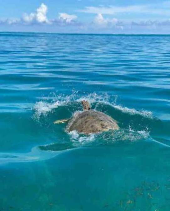 Teófimo López se encuentra disfrutando de la costa caribeña de Tulum en México.