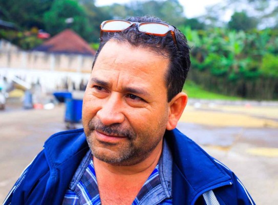 Cortadores de café imponen los precios en Copán