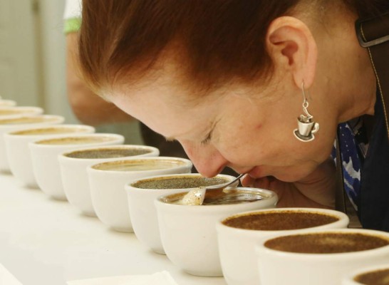 Taza de excelencia entra a la recta final del concurso