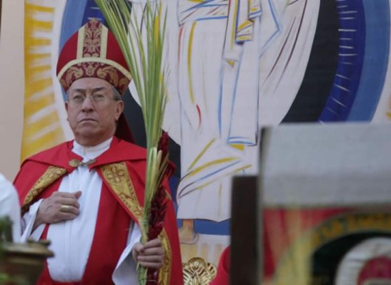Cardenal hondureño: 'No venimos a anunciar opiniones privadas'