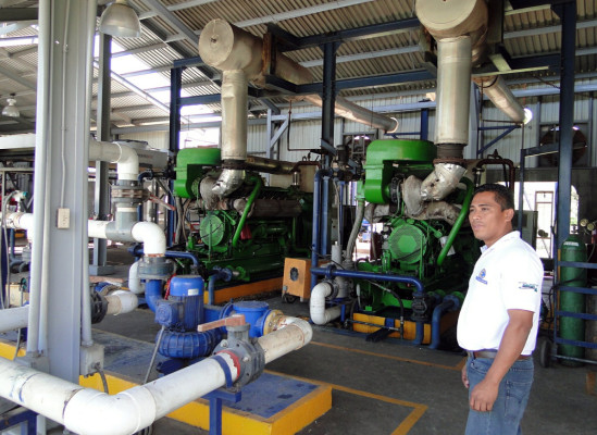 Con energía de desechos de palma moverán la industria en El Progreso