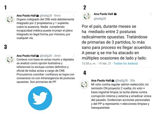 Ana Paola Hall: 'La confianza se logra con consensos no con posturas intransigentes'  