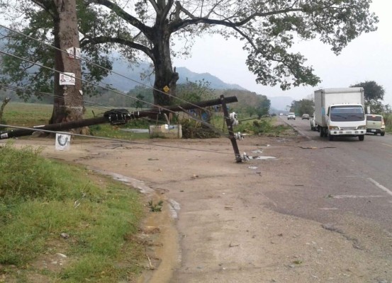 La caída del árbol provocó daños en cinco postes.