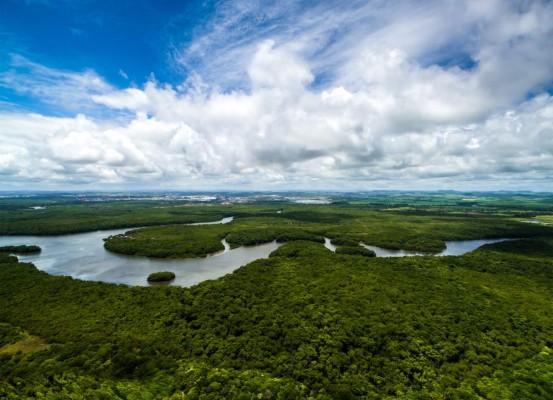 De viaje por el Amazonía, Pantanal y Cerrado en Brasil