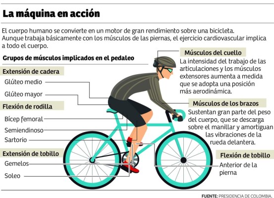 Ciclismo, la aventura sobre ruedas que llegó para quedarse en San Pedro Sula