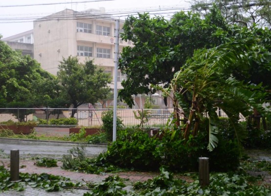 Poderoso tifón Neoguri deja dos muertos al golpear Japón