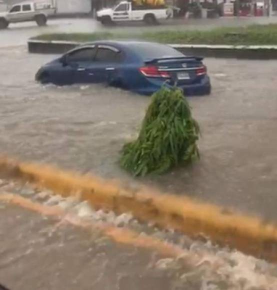 En la Avenida Circunvalación, las correntadas de agua se hicieron sentir y algunos carros se quedaron varados por la cantidad de agua.
