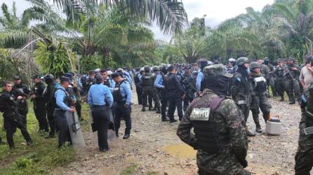 Los policías preventivos y miembros de ejército, no utilizaron la fuerza para desalojar a los campesinos que tenían invadidas tres fincas.