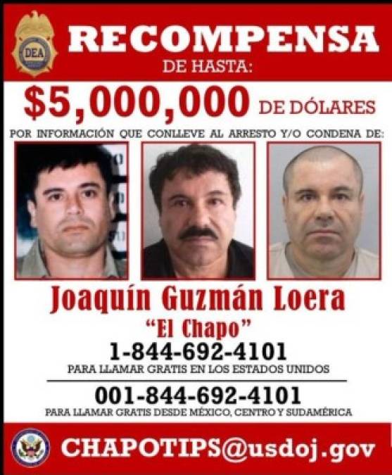 15 de junio de 2011.- Tras la muerte del terrorista Osama Bin Laden, líder de Al Qaeda, Guzmán pasa a encabezar la lista de fugitivos más buscados de Estados Unidos, según la revista Forbes. Washington ofrece cinco millones de dólares por proporcionar información valiosa que permita su captura.