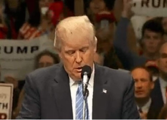 Una mosca se enreda en el cabello de Donald Trump