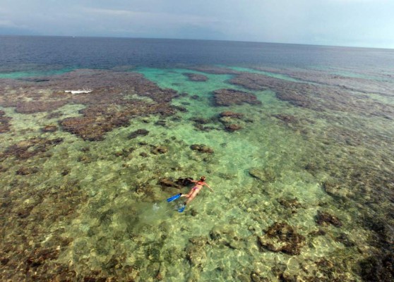Arrecife Mesoamericano se ha deteriorado en los últimos años, afirma estudio