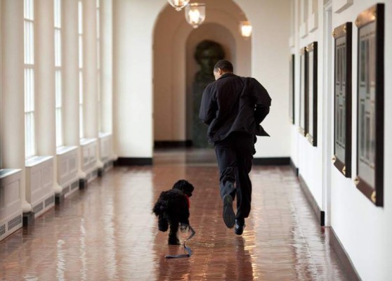 Corriendo por los pasillos de la Casa Blanca con uno de sus perros.