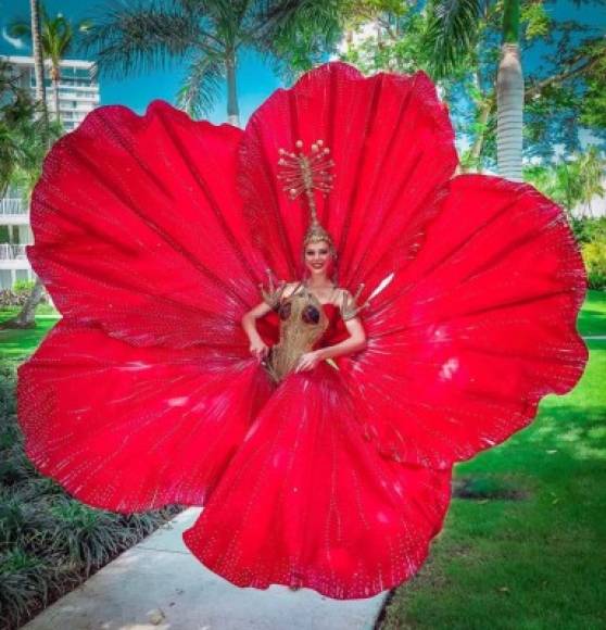 Pero volviendo al traje típico, Madison llevará al Miss Universo 2019 un ataviado como una flor de maga y un gigante coquí dorado.