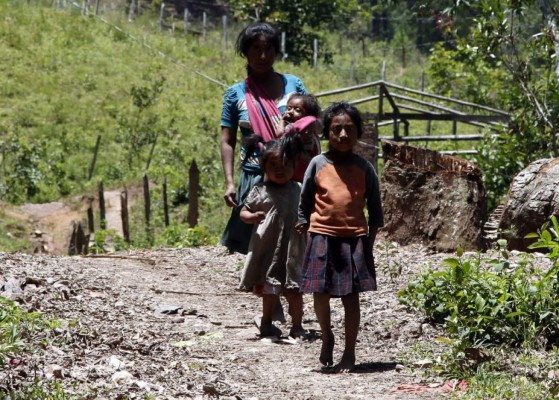 Unicef advierte que pobreza puede aumentar en Honduras