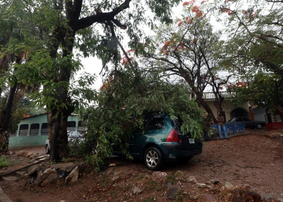 Foto: La Prensa