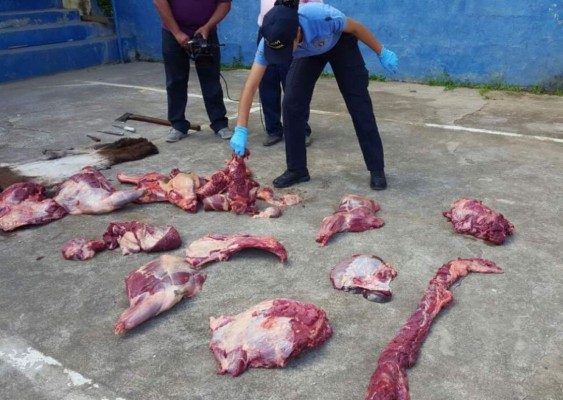 Detienen a hombre por vender carne de burro