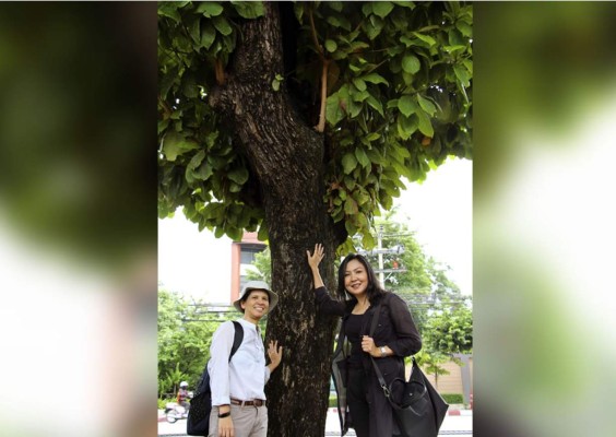 Déficit de espacios verdes en Bangkok