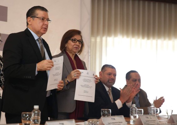 La OEA confirma su presencia como observador de elecciones