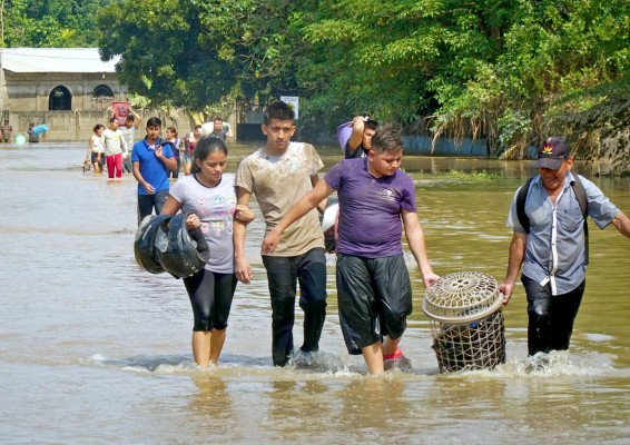 Temen epidemias en Choloma por miles de animales muertos