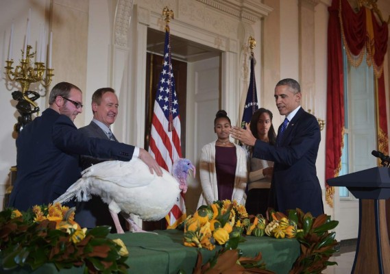 Obama perdona la vida a dos pavos antes del día de Acción de Gracias
